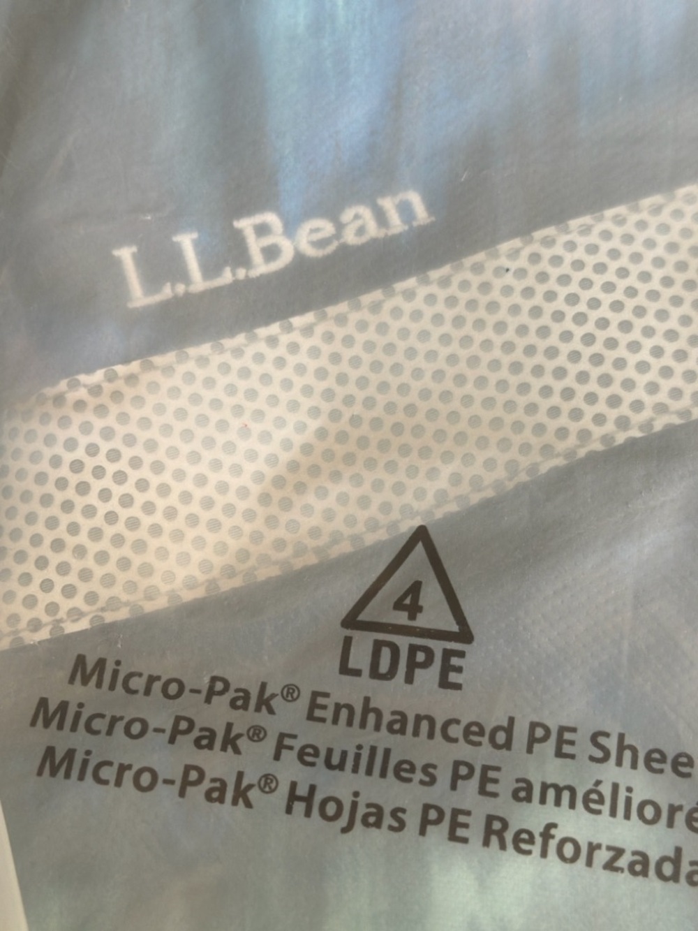 L.L. Bean Iridescent Blue and Teal Backpack
